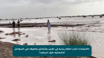 «الأرصاد» تحذر: أمطار رعدية في حلايب وشلاتين وخفيفة على السواحل الشمالية—كيف تستعد؟